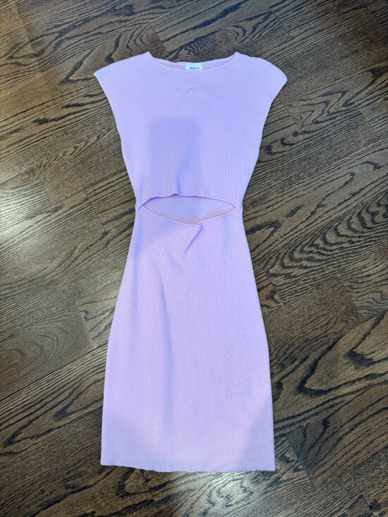 Aritzia Dresses & Skirts - pink aritzia dress size xs